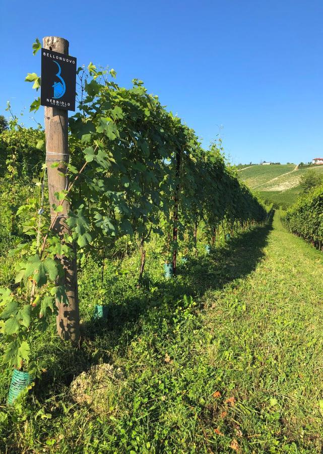 Cascina Bellonuovo Alba  Eksteriør bilde